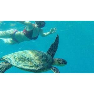 Meet your Posher, Camille